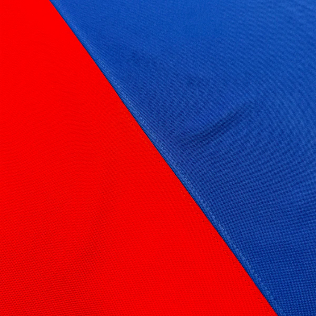 Jersey Barcelona Edición Especial Bicentenario (Entrega Inmediata)